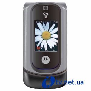 Motorola V11 (Vegas Korea)  CDMA ""   