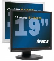 19- -  Iiyama