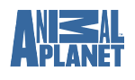 Анонсы передач Animal Planet с 8 по 14 ноября
