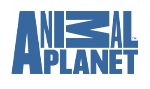    Animal Planet 9  15  2010 