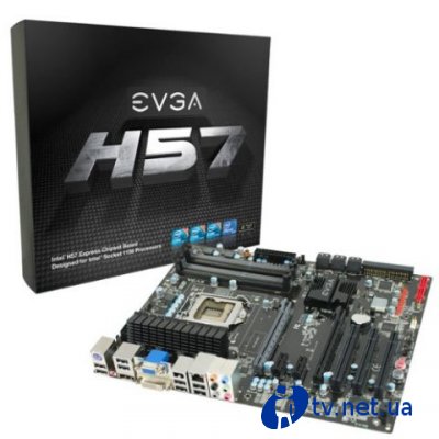 EVGA     