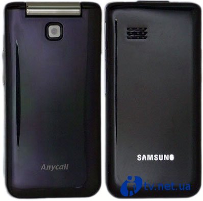 Samsung SCH-W319 -    