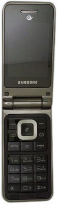 Samsung SCH-W319 -    