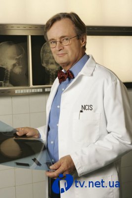 NCIS     