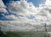 Крупнейшая в мире ветряная прибрежная электростанция запущена в Великобритании