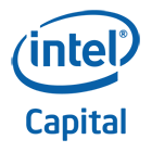 Intel Capital -      2010 .