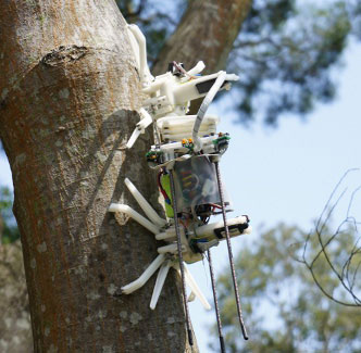 :  Treebot   ,  