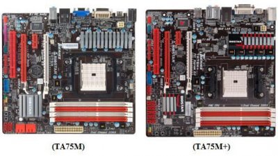   Biostar   T Series  Socket FM1