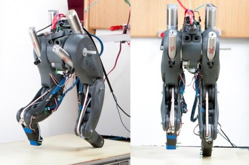 «Робот-гепард по-аризонски» обретает реальные очертания
