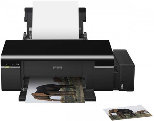 Epson L100  L800      