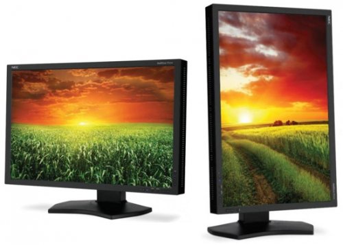 NEC MultiSync P241W   24"   