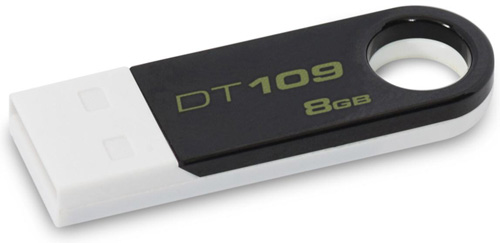   USB- Kingston DataTraveler 109