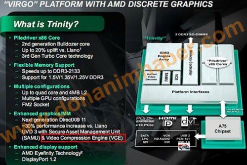 AMD     Trinity  