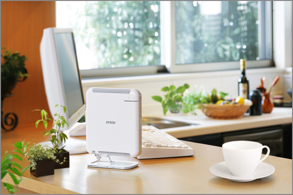  -  Epson   AMD Brazos