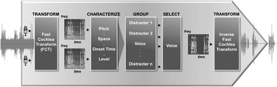  Apple A5    Audience     Siri