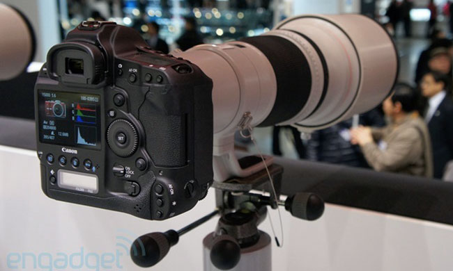 Canon EOS-1D X  Nikon D4    ISO 204 800