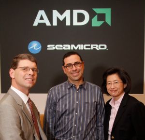  AMD      