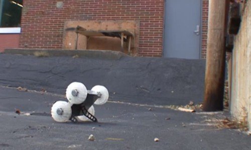  Boston Dynamics   ,  RHex    Sand Flea ()