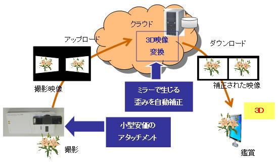   2D-     3D  Fujitsu