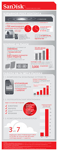      SanDisk