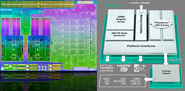      AMD Trinity