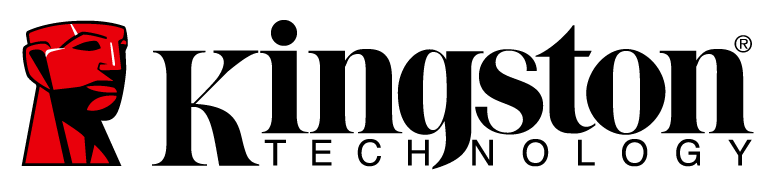 Kingston Technology  25- 