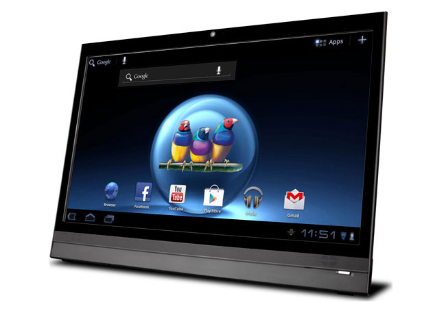 - ViewSonic VSD220      Android