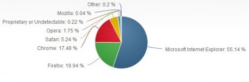   Internet Explorer      55%