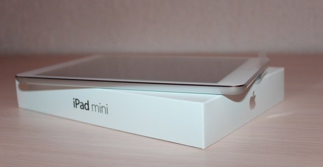 Apple     iPad mini