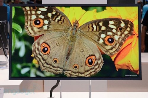 IFA 2013: Samsung  31,5    4K UHD