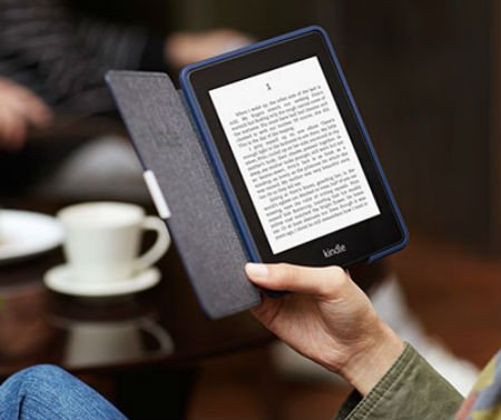  - Amazon Kindle Paperwhite    E-Ink Mobius?