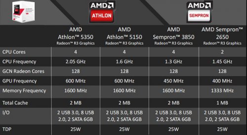     AMD AM1