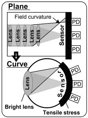 Sony   CMOS-